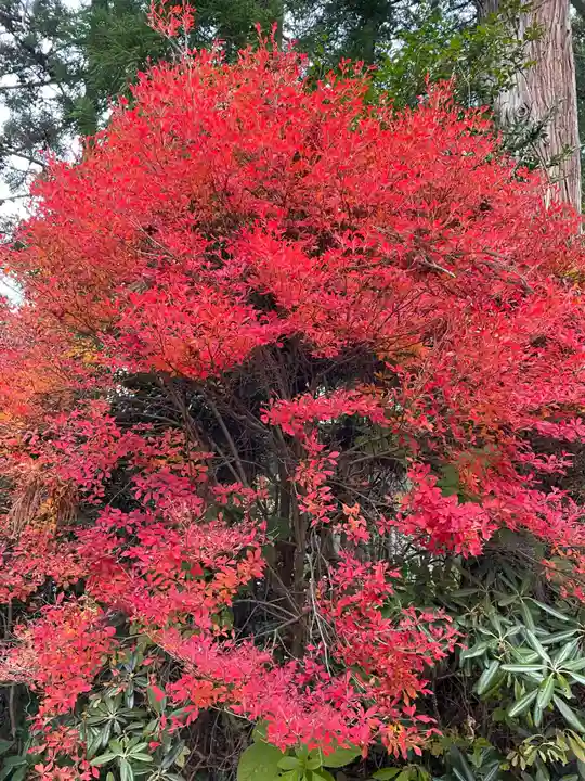 西光寺(宮城県)