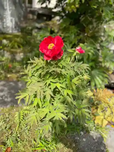 伊勢の国 四天王寺の自然