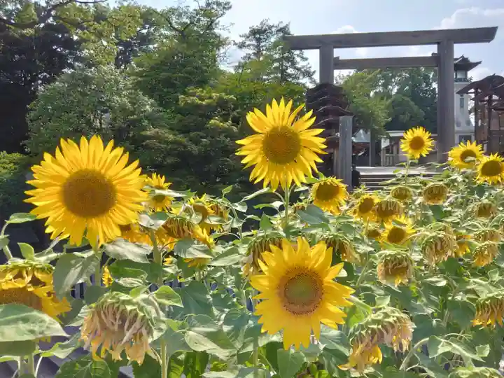 伊勢山皇大神宮(神奈川県)