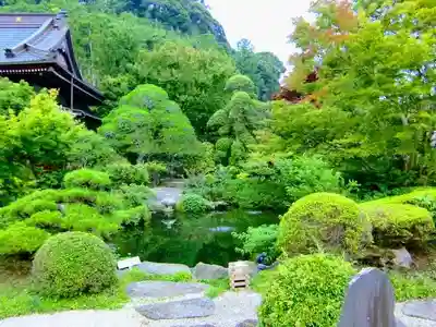 本行寺の庭園