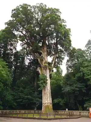 霧島神宮(鹿児島県)