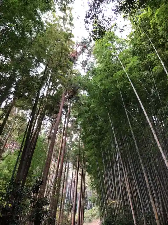 武雄神社の自然