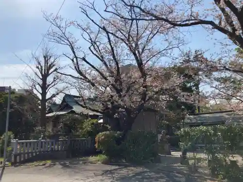 野庭神明社(神奈川県)