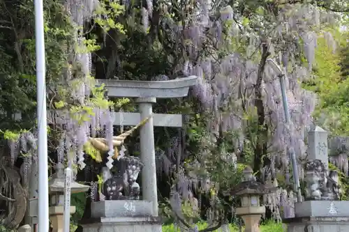 春日神社の庭園