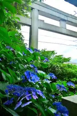 龍口明神社(神奈川県)