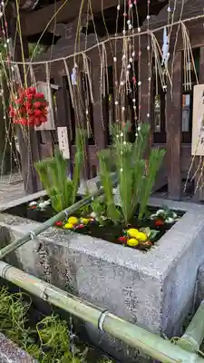 今宮神社(京都府)