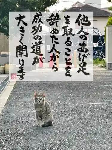 専念寺(大阪府)