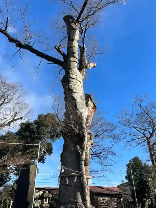 廣瀬神社(埼玉県)