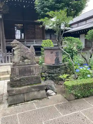 白山神社の狛犬