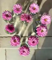 伊達神社(北海道)