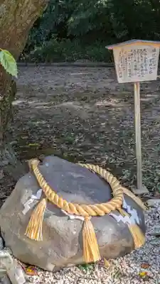 許波多神社（小幡東中鎮座）(京都府)