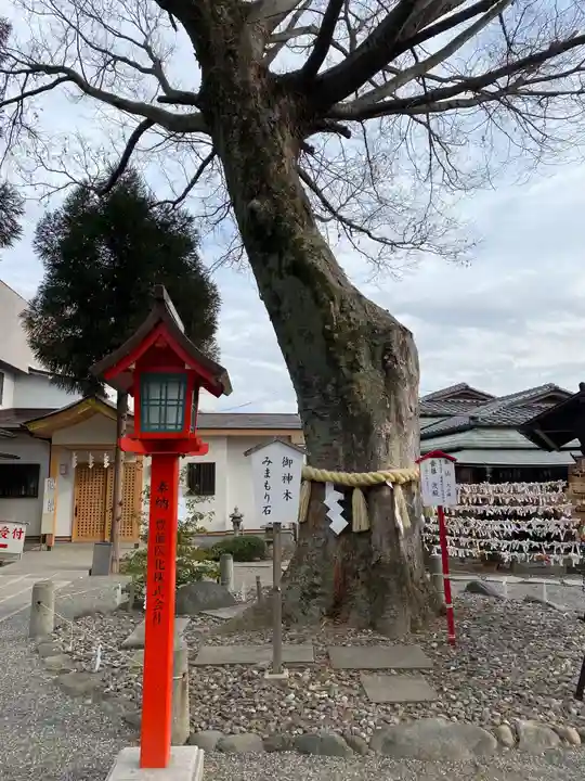 正ノ木稲荷 稲積神社の自然