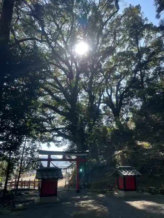 蛭児神社の鳥居