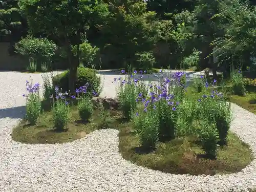 廬山寺（廬山天台講寺）の庭園