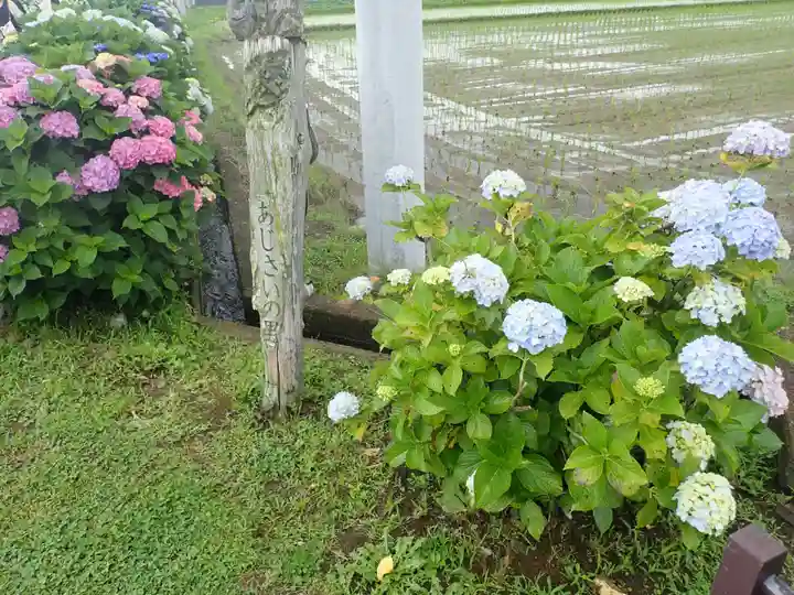 最乗寺(道了尊)(神奈川県)