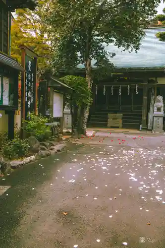 松雲寺(静岡県)