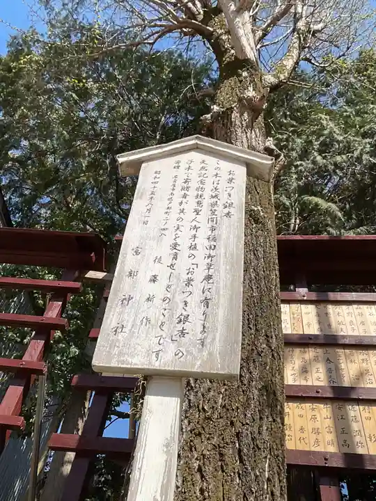 富部神社(愛知県)
