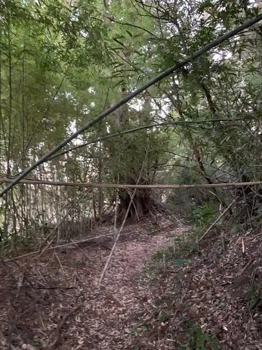 日吉神社(千葉県)