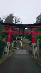 大川神社の鳥居