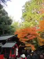 野宮神社(京都府)