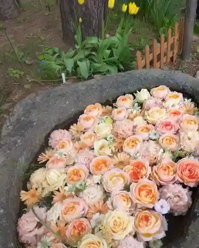 発寒神社(北海道)