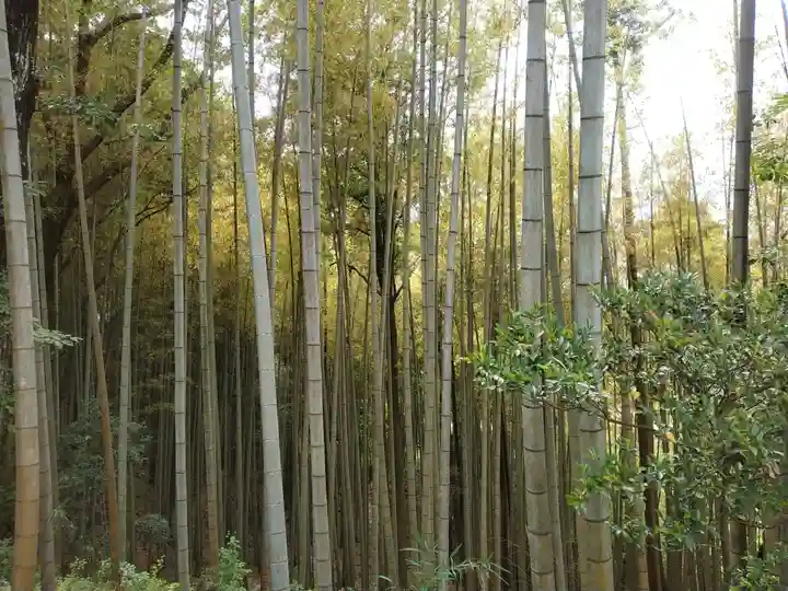 常陸国出雲大社(茨城県)