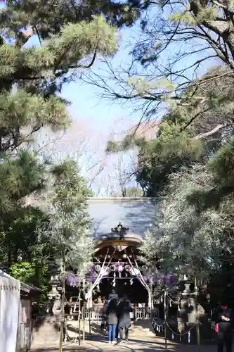 石神井氷川神社の本殿