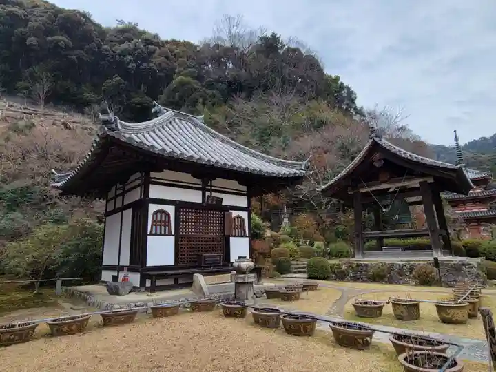 三室戸寺(京都府)
