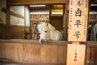 金刀比羅宮(香川県)