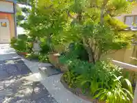 教善寺の庭園