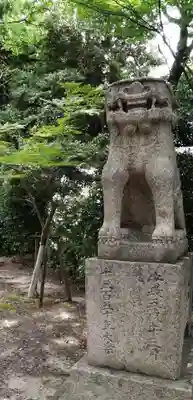 琴崎八幡宮の狛犬