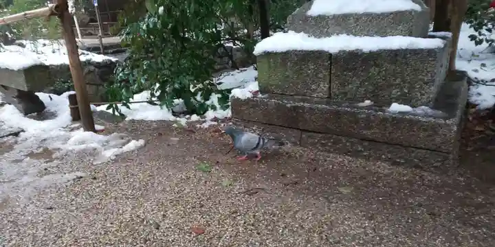 賀茂御祖神社(下鴨神社)(京都府)