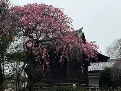 五條天神社の{uncategorized: "未分類", other: "その他", undefined: "問題あり", building: "その他建物", grave: "お墓", sacred_gate: "鳥居", guardian: "狛犬", statue: "像", buddha: "仏像", history: "歴史", nature: "自然", garden: "庭園", animal: "動物", pagoda: "塔", temizu: "手水舎", mountain_gate: "山門・神門", sanctuary: "本殿・本堂", subordinate: "末社・摂社", art: "芸術", scenery: "景色", jizo: "地蔵", ema: "絵馬", goshuin: "御朱印", omikuji: "おみくじ", items: "授与品その他", amulet: "お守り", goshuincho: "御朱印帳", eats: "食事", festival: "お祭り", votive_dance: "神楽", shichigosan: "七五三参", wedding: "結婚式", experience: "体験その他", initially: "初詣", around: "周辺", anti_infection: "感染症対策"}