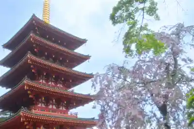 高幡不動尊　金剛寺(東京都)