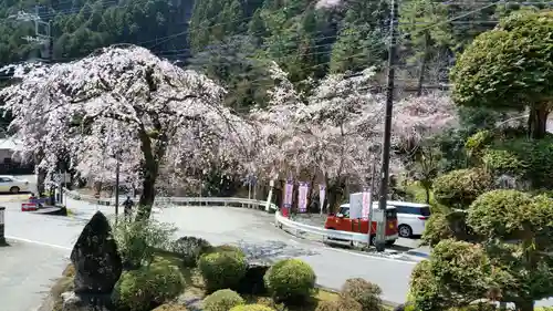 日蓮宗 総本山 塔頭 定林坊(じょうりんぼう)の庭園