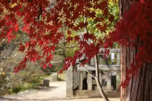 国宝 大法寺の景色