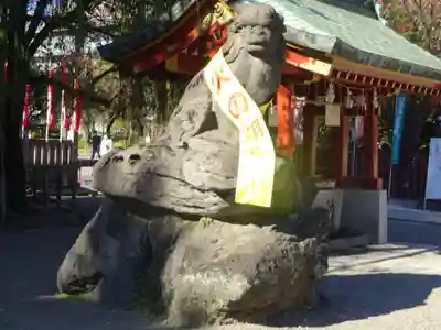 浅草神社の狛犬