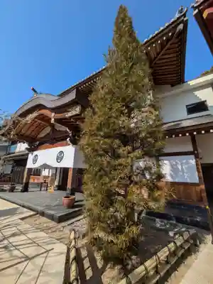放生寺(東京都)