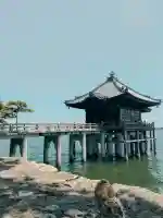 満月寺(浮御堂)の{uncategorized: "未分類", other: "その他", undefined: "問題あり", building: "その他建物", grave: "お墓", sacred_gate: "鳥居", guardian: "狛犬", statue: "像", buddha: "仏像", history: "歴史", nature: "自然", garden: "庭園", animal: "動物", pagoda: "塔", temizu: "手水舎", mountain_gate: "山門・神門", sanctuary: "本殿・本堂", subordinate: "末社・摂社", art: "芸術", scenery: "景色", jizo: "地蔵", ema: "絵馬", goshuin: "御朱印", omikuji: "おみくじ", items: "授与品その他", amulet: "お守り", goshuincho: "御朱印帳", eats: "食事", festival: "お祭り", votive_dance: "神楽", shichigosan: "七五三参", wedding: "結婚式", experience: "体験その他", initially: "初詣", around: "周辺", anti_infection: "感染症対策"}