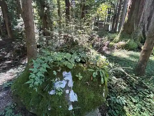 塩野神社(長野県)