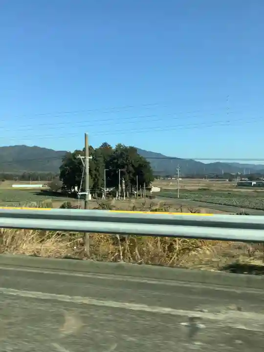 素盞嗚神社(樽井町宮前)(愛知県)