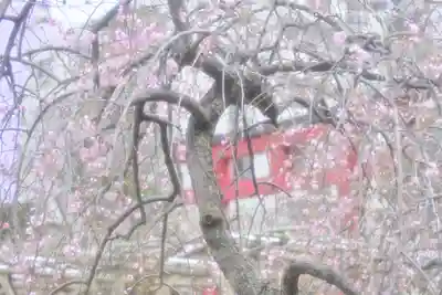 亀戸天神社(東京都)