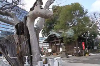 阿邪訶根神社の本殿・本堂