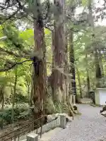 最乗寺奥の院(慈雲閣)(神奈川県)