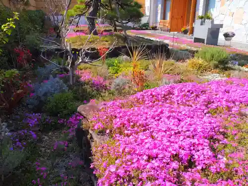 寿量山　速成寺の自然