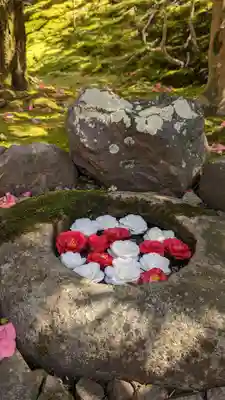 霊鑑寺門跡(京都府)