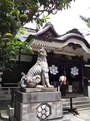 鳥越神社の狛犬