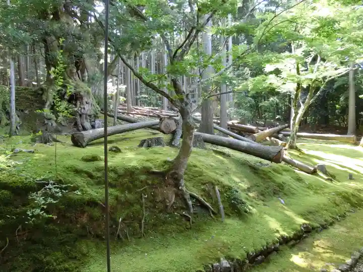 若狭神宮寺の自然