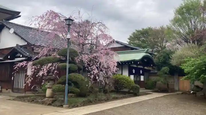 新井薬師(梅照院)(東京都)