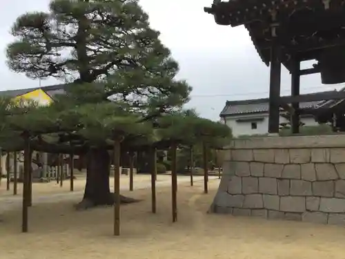 本福寺(滋賀県)